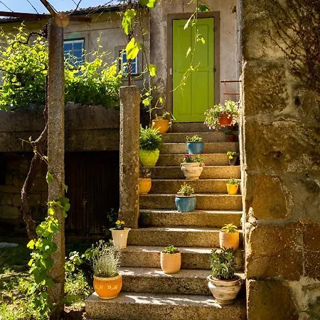Casas Casal De Nino * Celorico De Basto