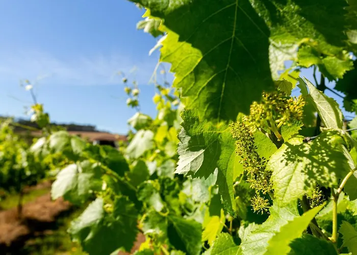 Villa Casas Casal De Nino *