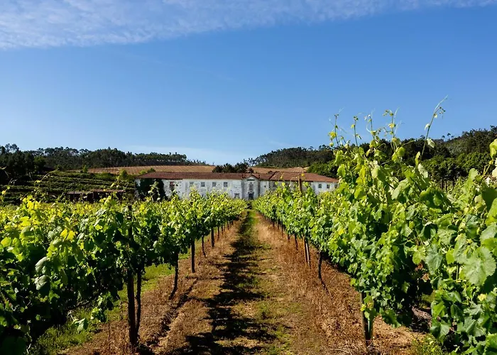 Casas Casal De Nino Villa Celorico de Basto
