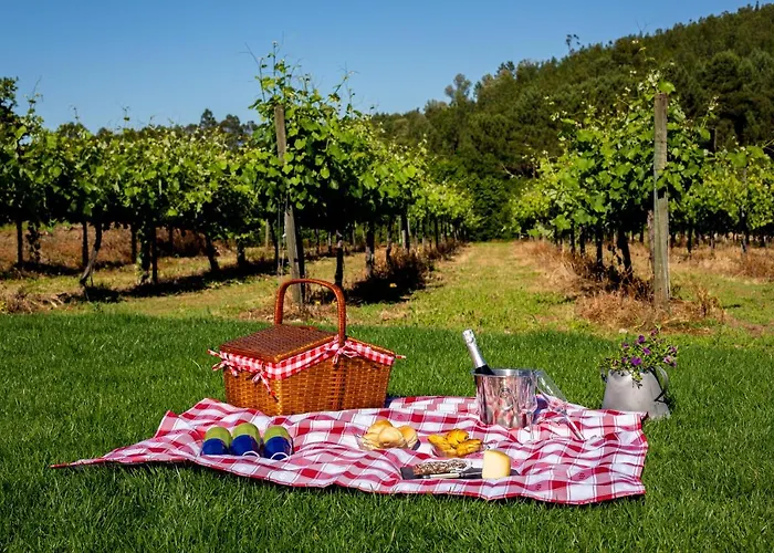 Casas Casal De Nino * Celorico de Basto