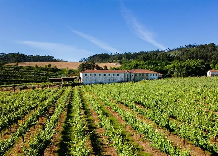 Villa Casas Casal De Nino Celorico De Basto